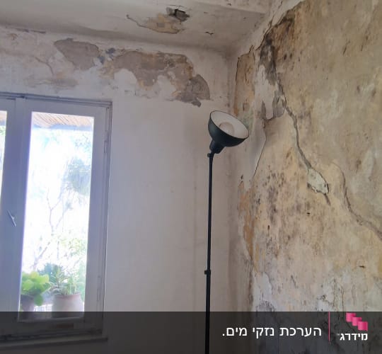 קיר עם קילופים וסדקים ליד חלון וכיסא